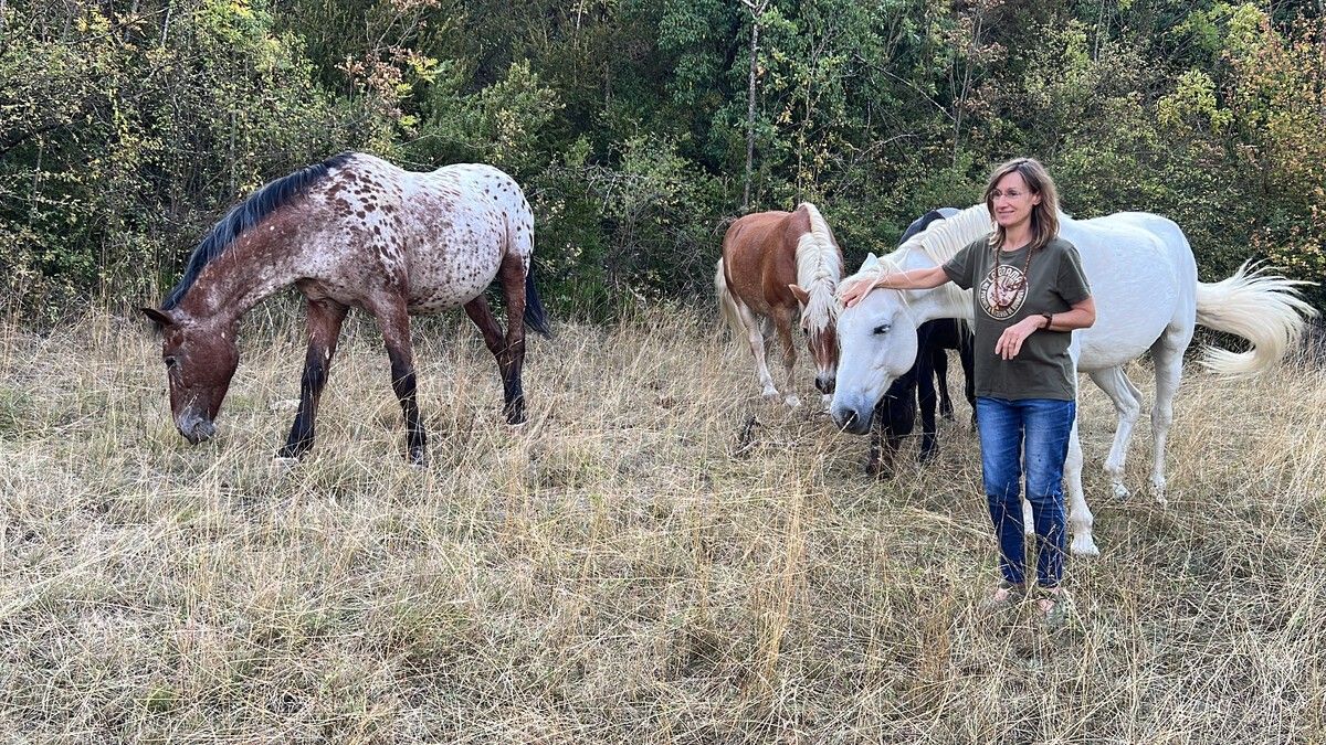 La presidenta de la Fundació Miranda, Rosa Galindo, amb alguns dels cavalls que pasturen en una finca d'Arsèguel