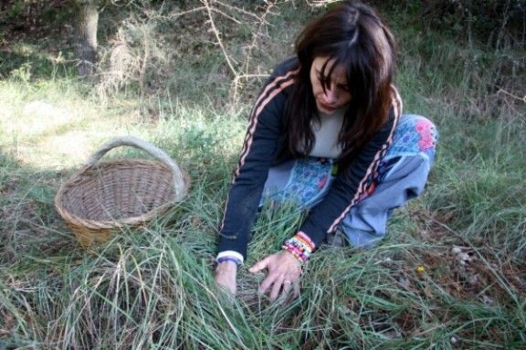 Una boletaire busca bolets en un bosc del sud del Berguedà