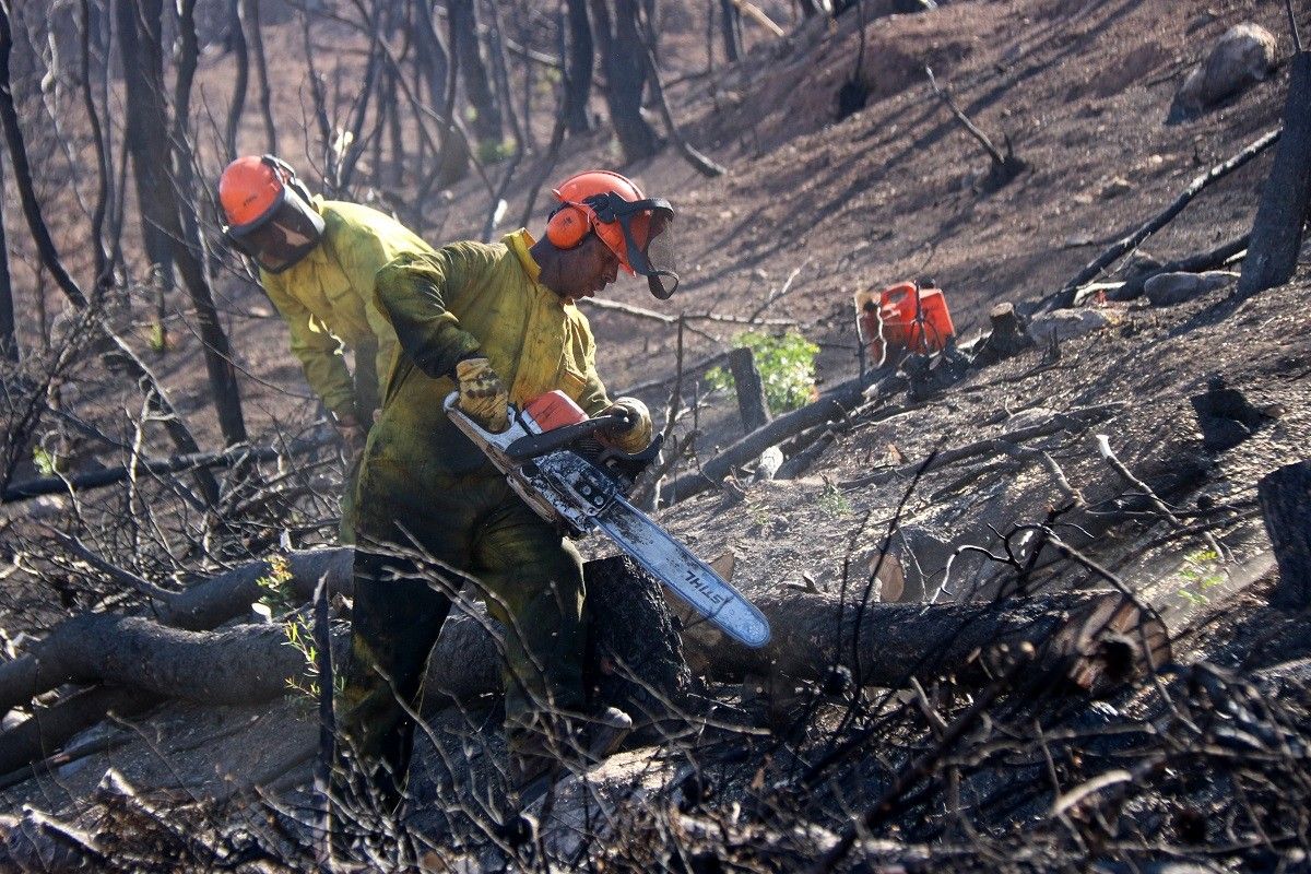 Dos fustaires treballant en la construcció de feixines a la zona de l'incendi de la Ribera d'Ebre.