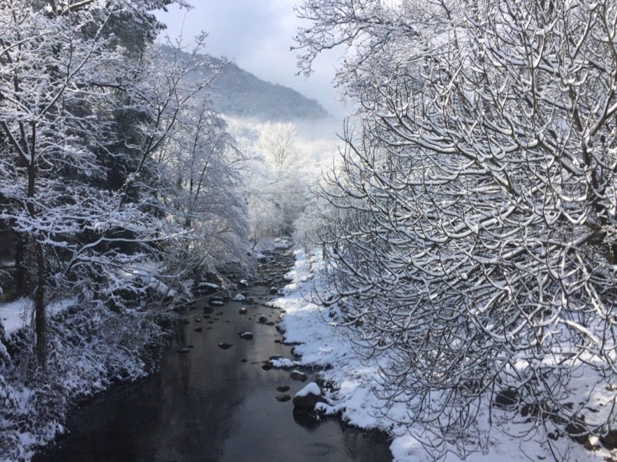 El riu Gurn al pas per Sant Privat d'en Bas, durant l'hivern
