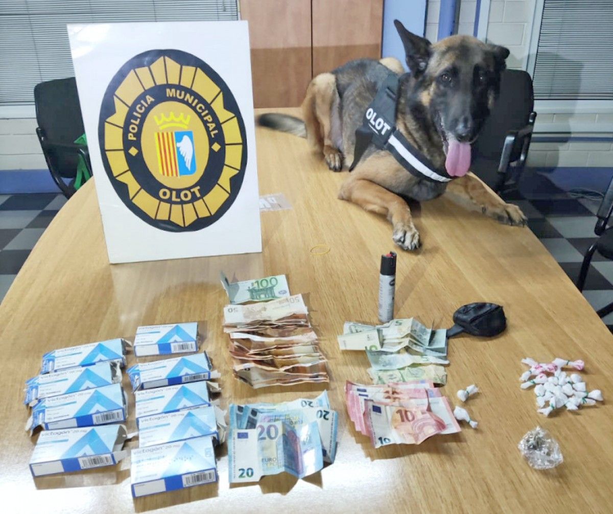 Imatge de la droga i els diners interceptats per la Policia Local