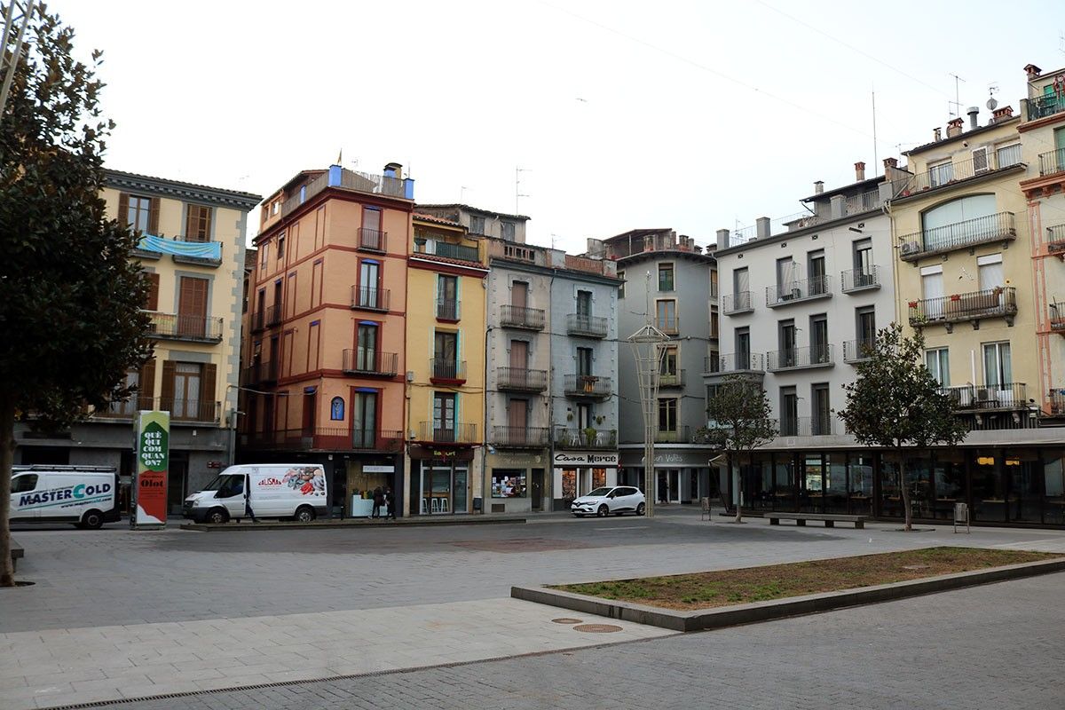 Imatge actual de la plaça Major d'Olot amb els seus arbres