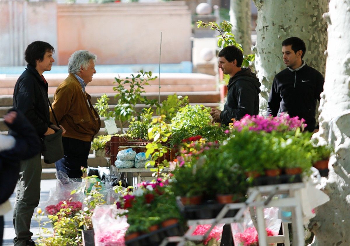 El Firal va ser un dels punts dels muntatges florals l'any passat, que enguany es traslladen al centre de la ciutat