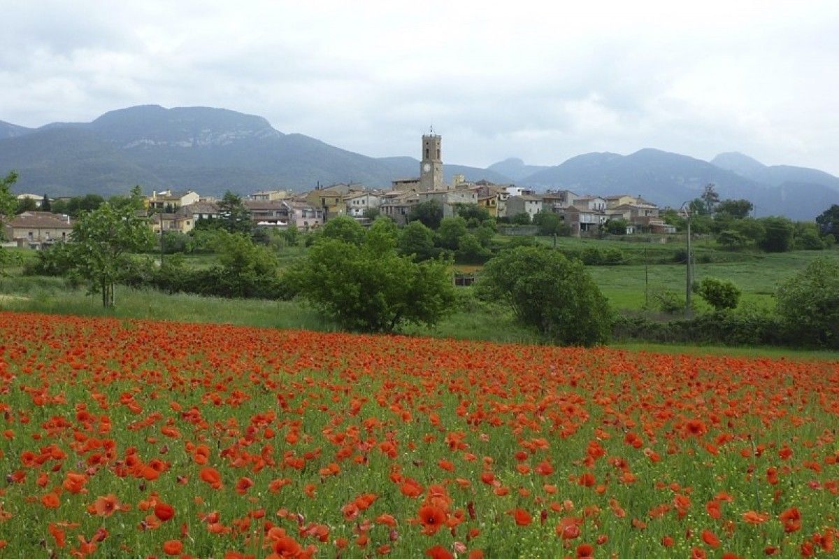 El municipi de Montagut i Oix és a l'Alta Garrotxa.