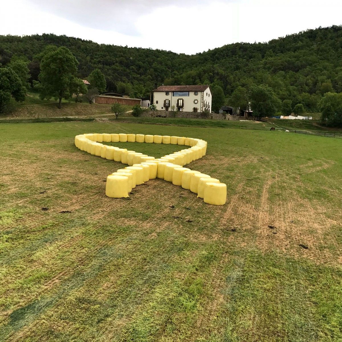 Un ramader de la plana de la Vall d'en Bas ha tingut la paciència de fer un llaç groc amb les bales ensitjades.