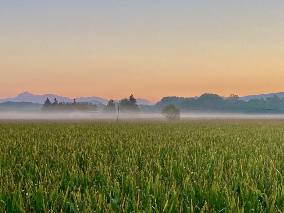 La pagesia és un dels sectors econòmics més importants de la Vall d'en Bas