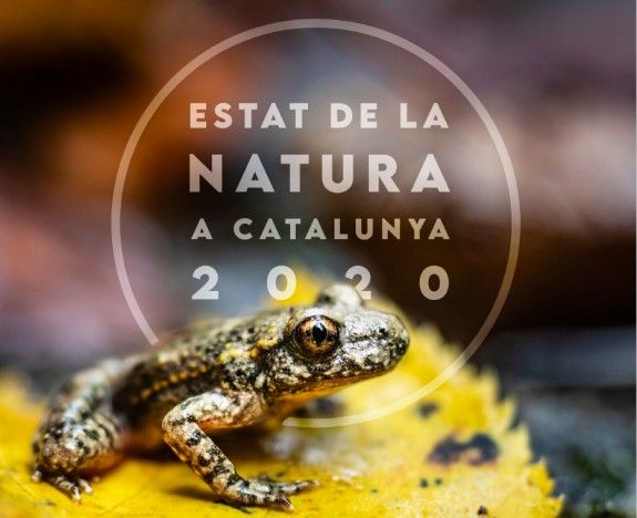 Coberta del report «Estat de la natura a Catalunya 2020».