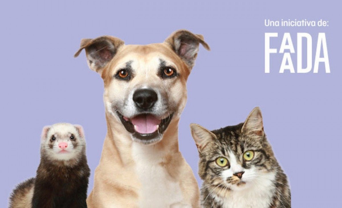 La campanya s'adreça a propietaris de gossos, gats o fures.