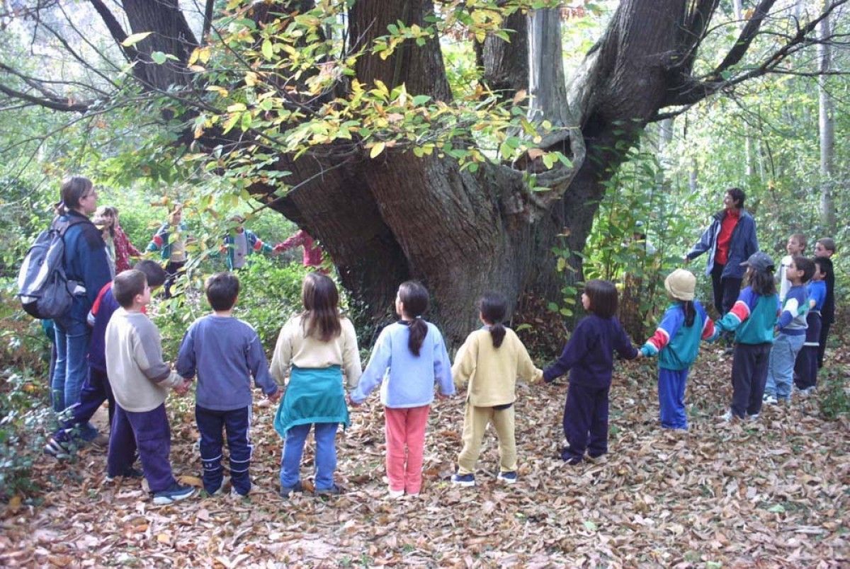 Els infants aprofiten aquestes activitats d'educació ambiental.