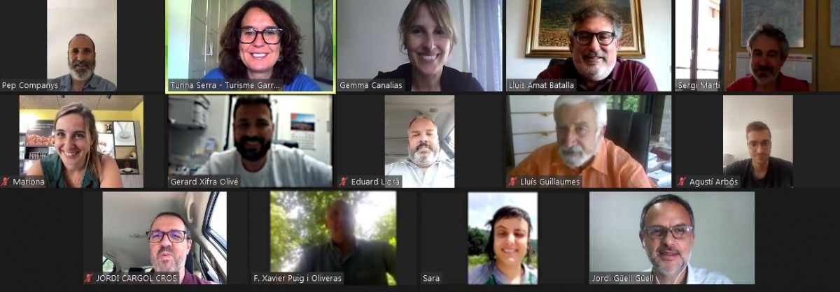 Alguns dels membres de la Taula de Mobilitat Turística en trobada virtual.