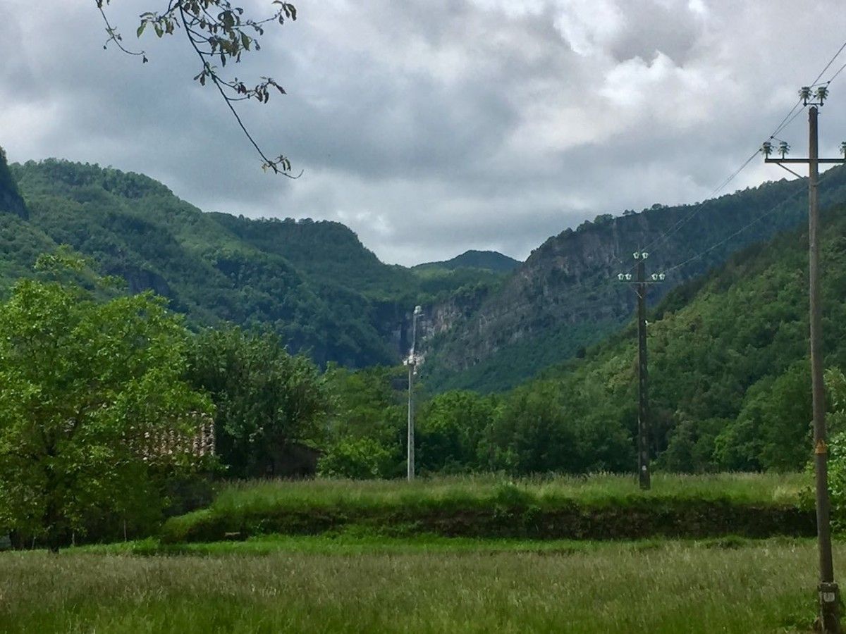Una línia elèctrica a la Vall d'en Bas.