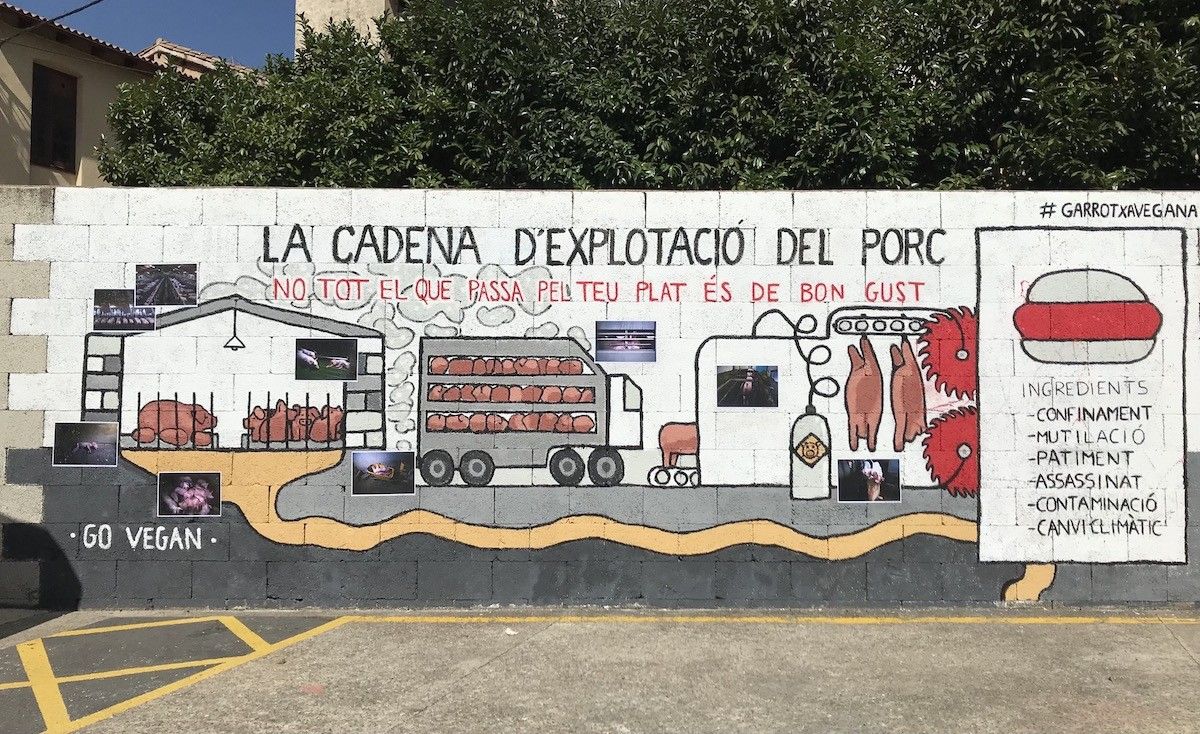  L'obra s’ha pintat al carrer Fontanella, al pàrquing de l'antic escorxador municipal d'Olot.
