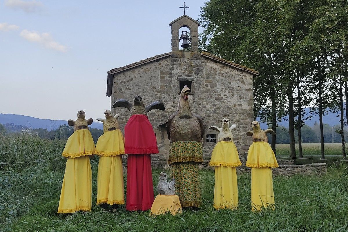 La lloca, els pollets i l'esparver a l'ermita de Sant Quintí de la Vall d'en Bas.