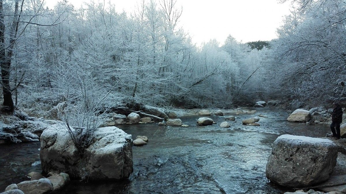 Una imatge d'Altron, al Pallars Sobirà, aquest matí