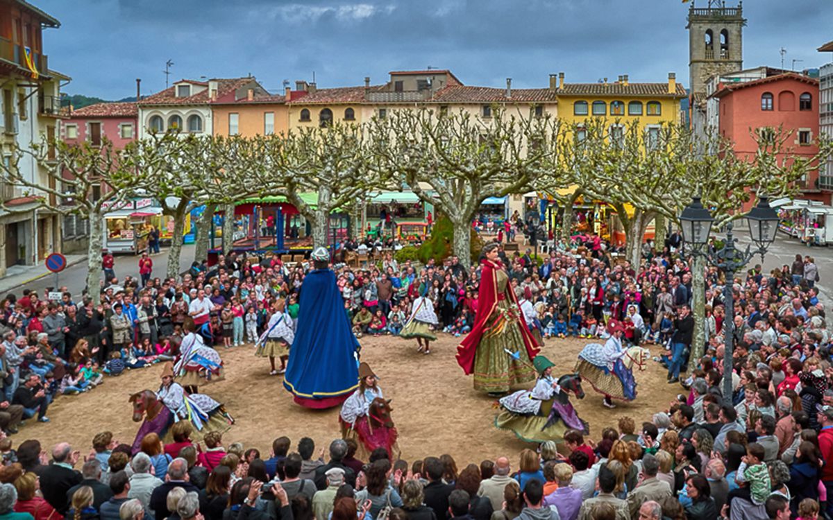 El Ball dels Cavallets, Gegants i Mulassa de Sant Feliu