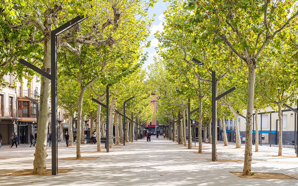 El Firal d'Olot és considerat un refugi climàtic