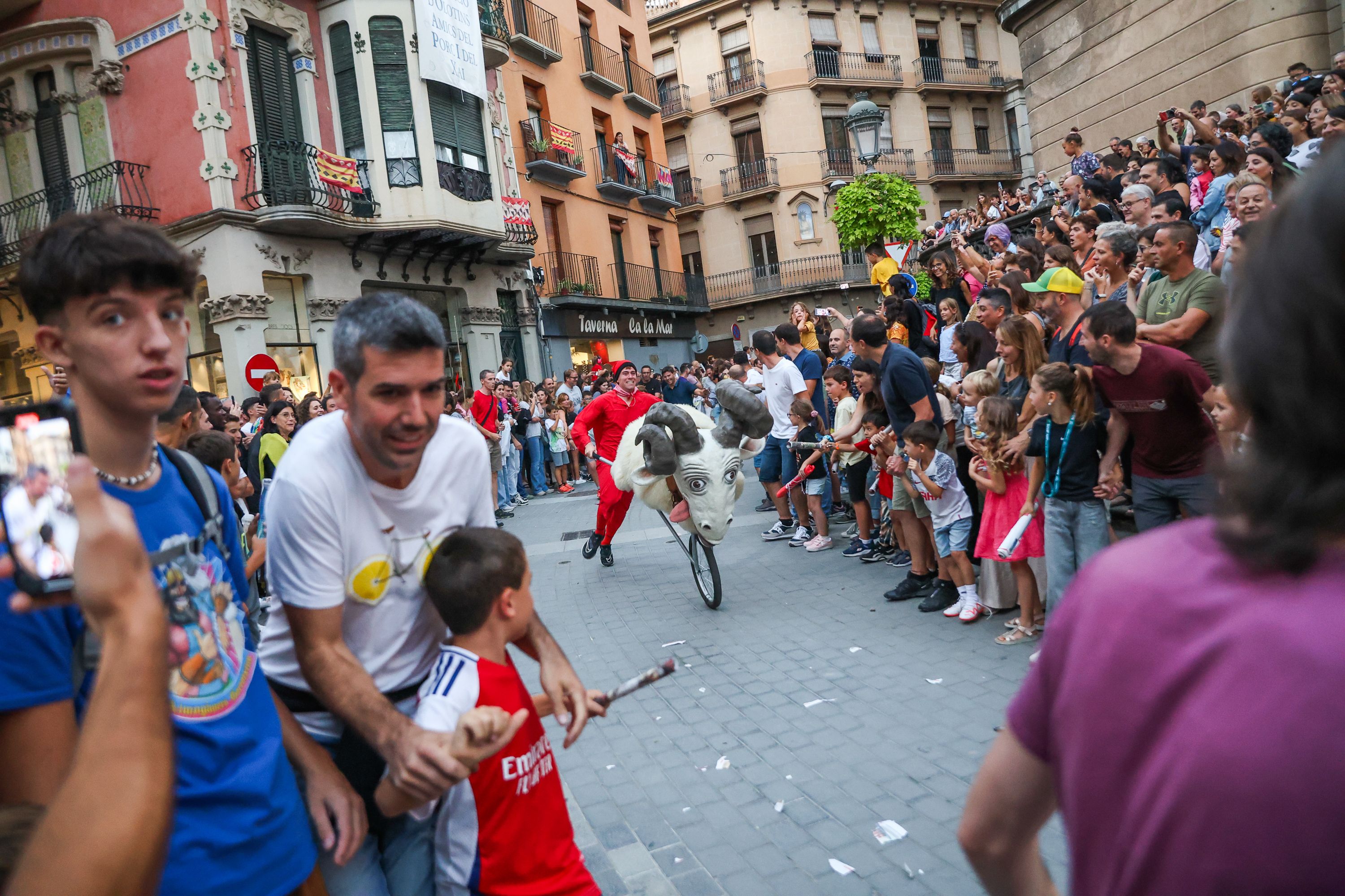 Galeria Festes del Tura 2024: "Encierru" de marrans