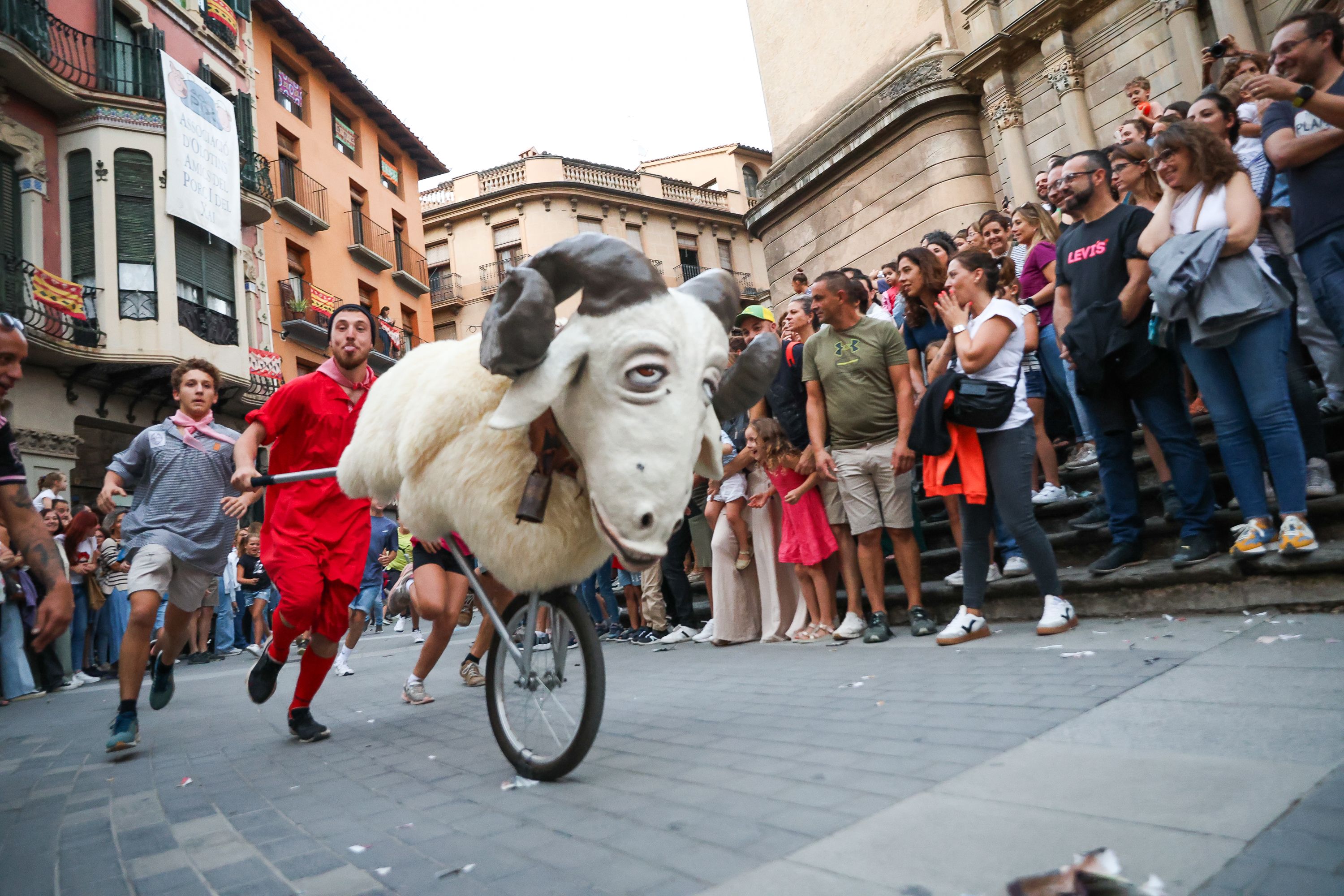 Galeria Festes del Tura 2024: "Encierru" de marrans