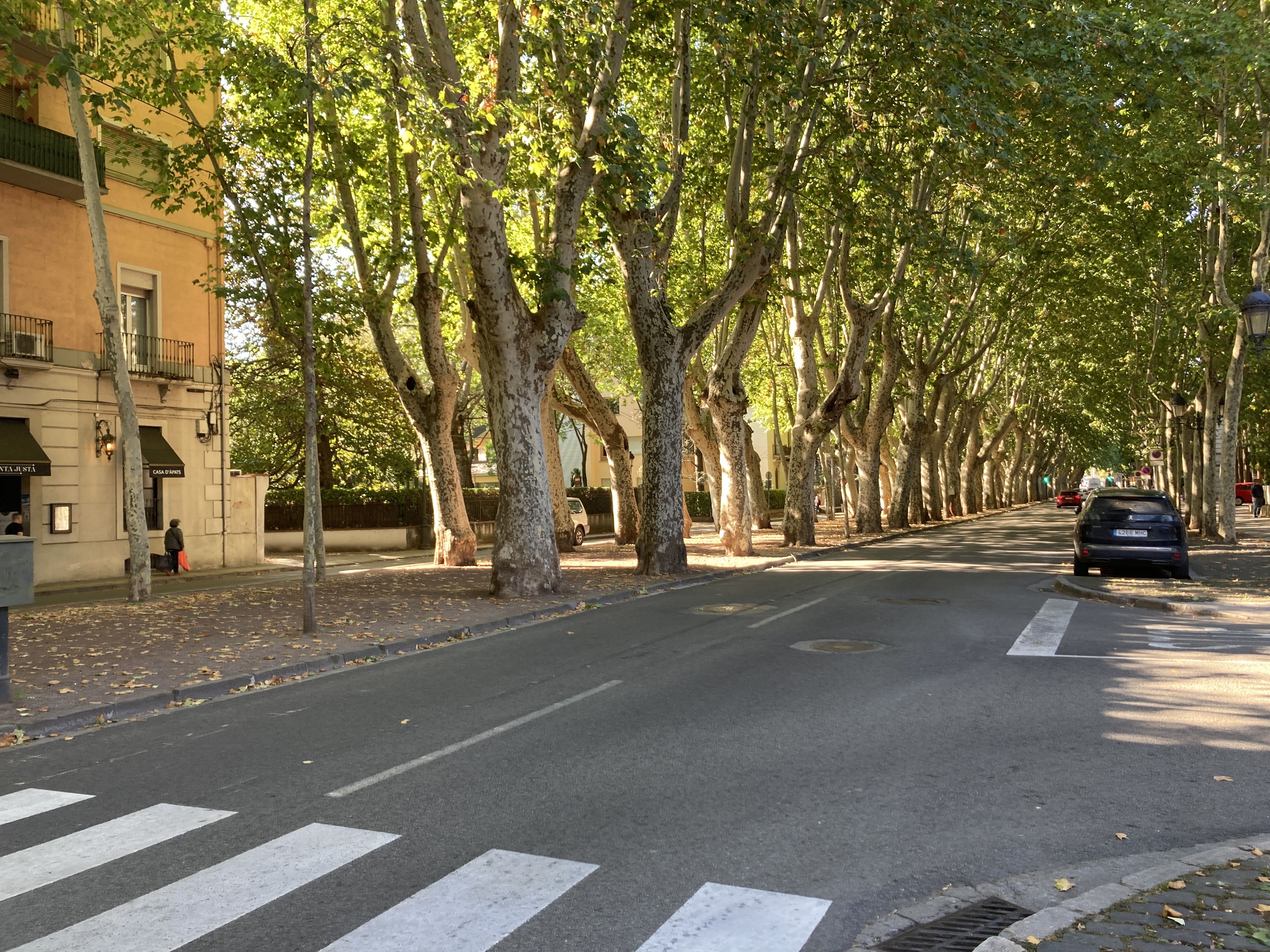 El passeig de Barcelona aquest dijous al matí