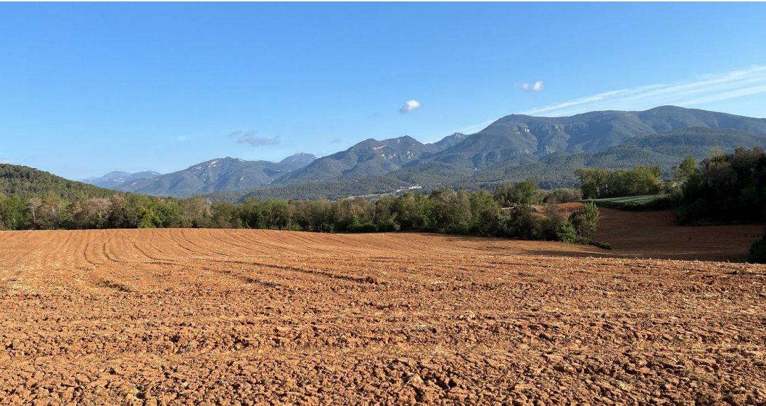 Imatge dels terrenys on es projecta la planta