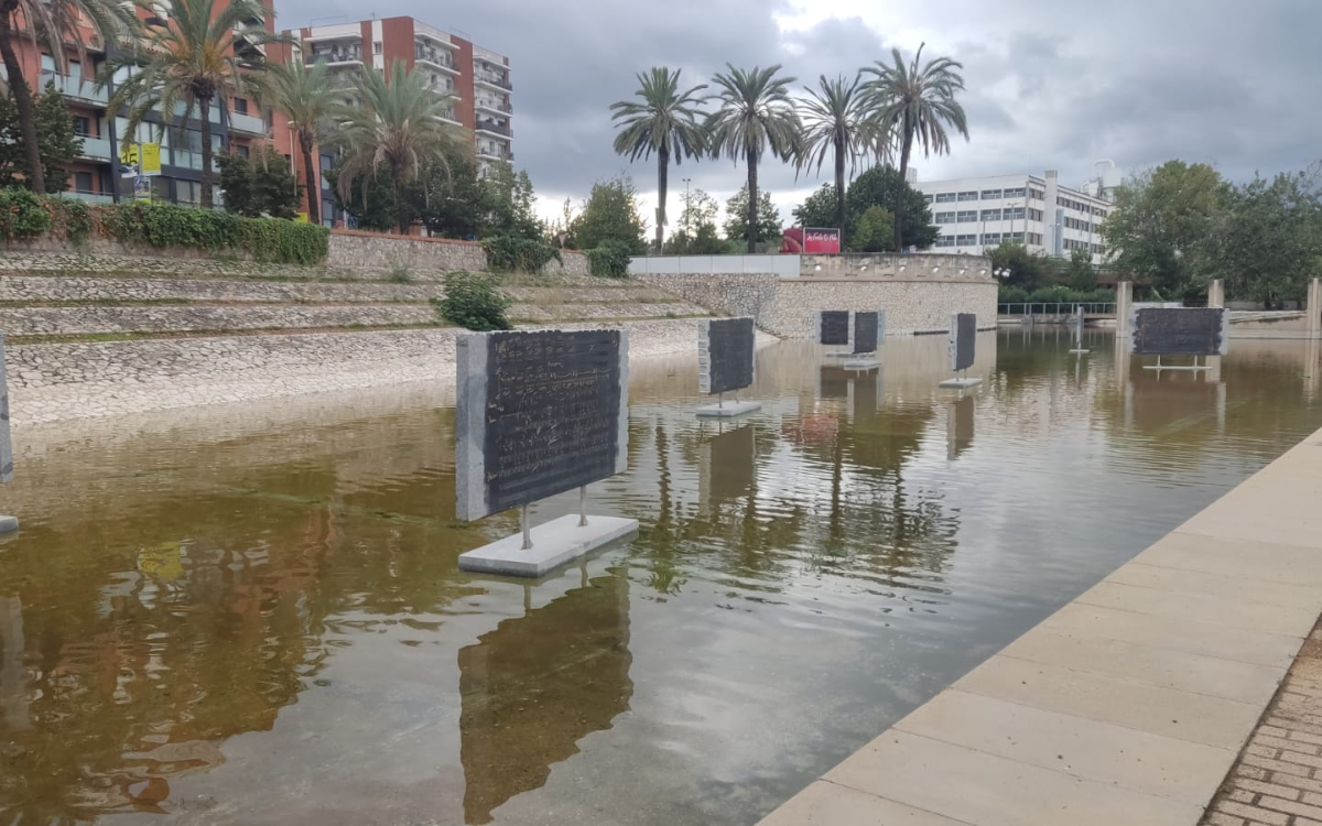 Així es pot veure aquests dies el llac de Ponent