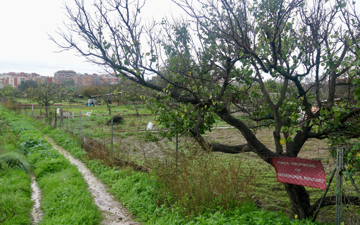 Horta al Calderí a Mollet del Vallès