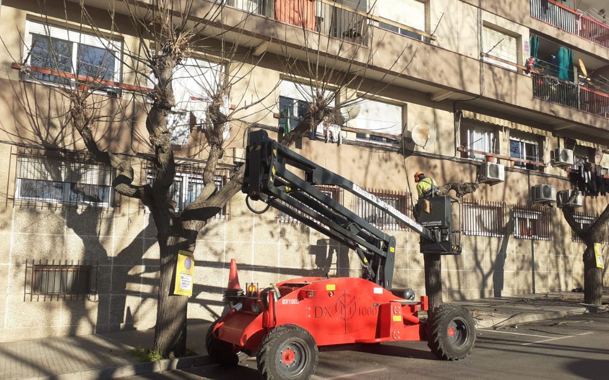 Poda d'arbres als carrers