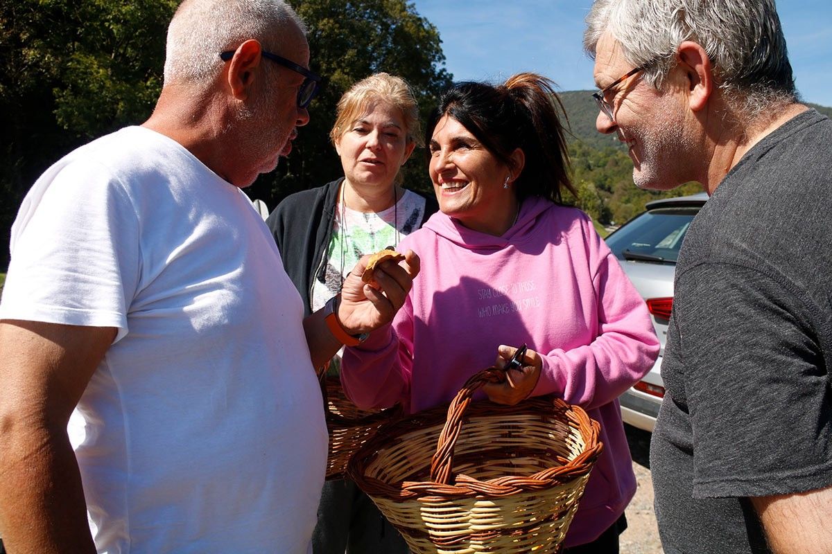 Seguir diversos consells permet reduir l'impacte dels boletaires als boscos