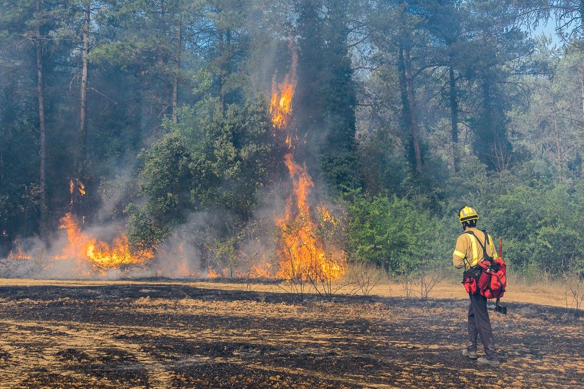 Les zones de conreu afavoreixen reduir la intensitat dels incendis