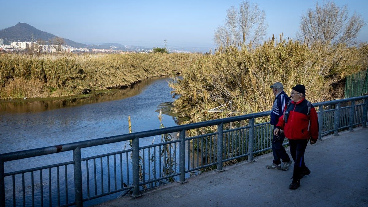 Punt del Llobregat on es capta l'aigua per a la potabilitzadora