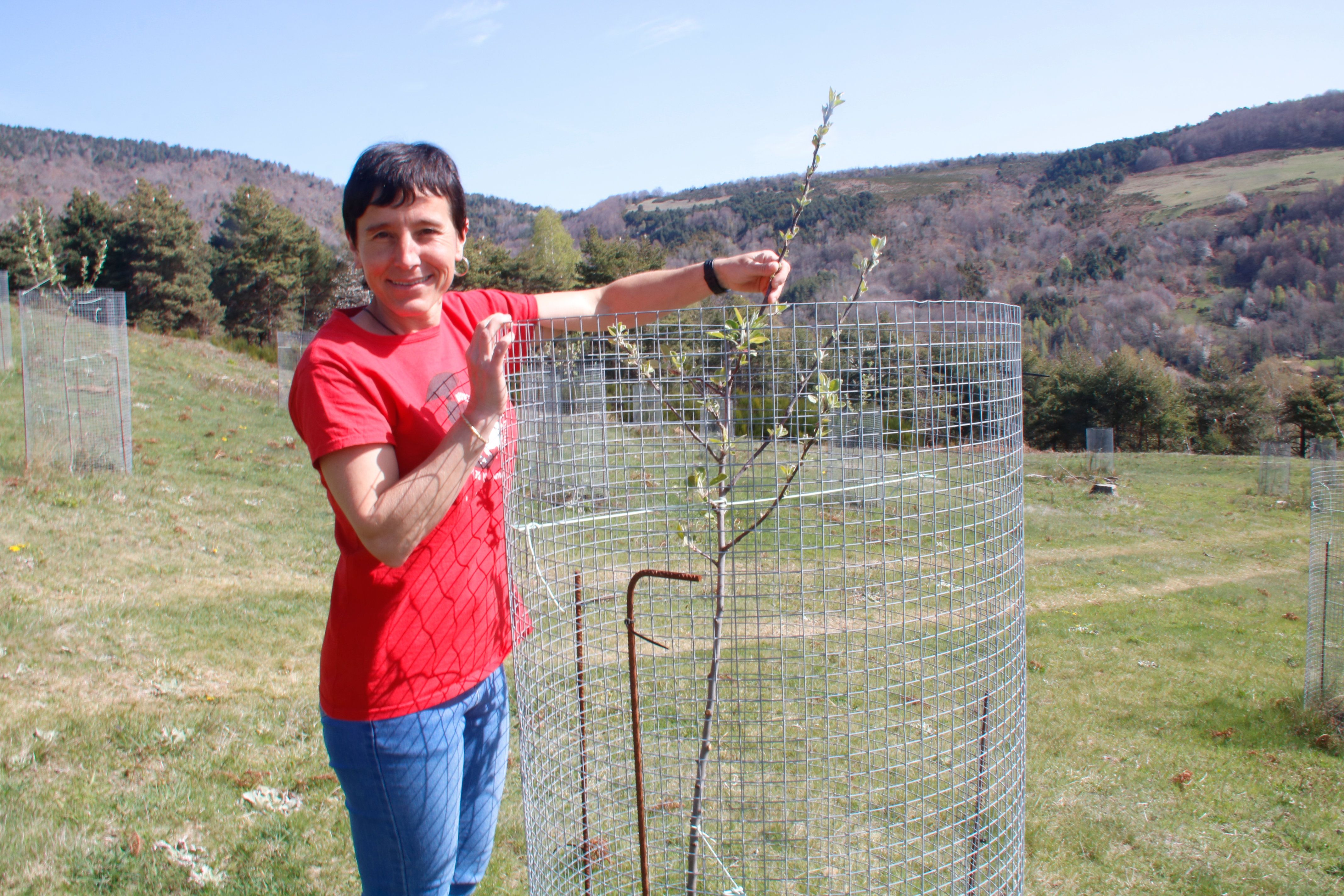L'enginyera Núria Simon amb les pomeres autòctones plantades a Rocabruna