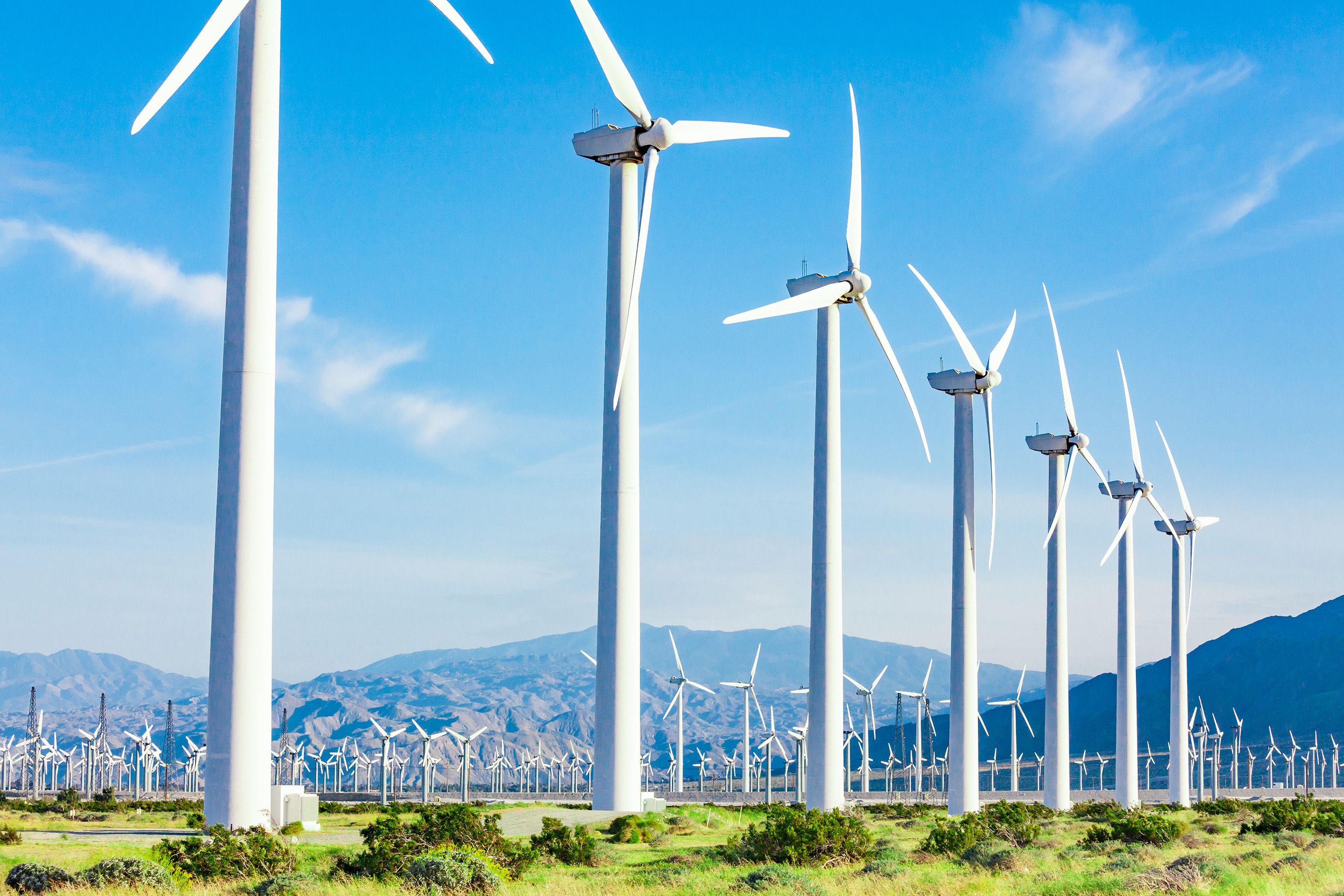 Un parc eòlic a Califòrnia, una de les regions del món on les renovables estan més desenvolupades
