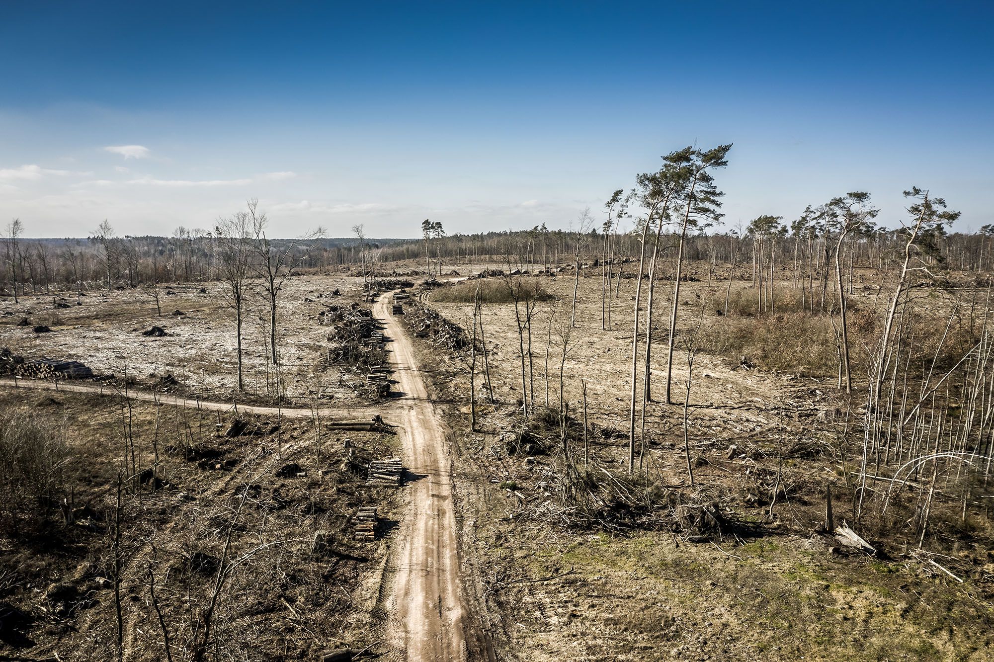 La Terra ja ha arribat al Dia de la Sobrecapacitat