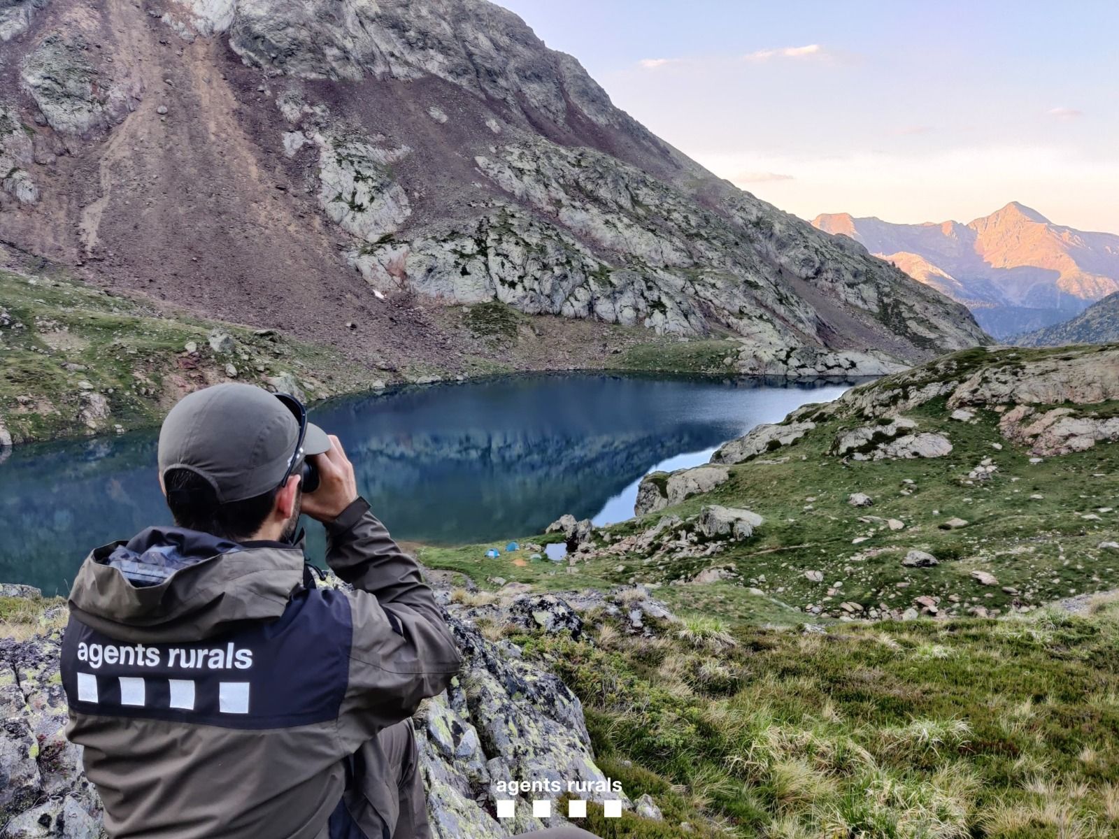 Un agent rural fa tasques de vigilància al Pirineu