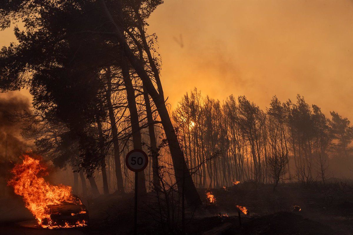 Incendi forestal en una zona propera a Atenes