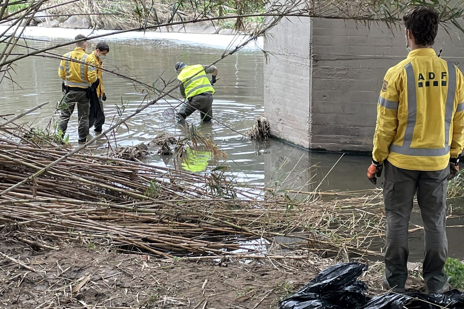 Voluntaris d'una ADF retirant peixos morts al Besòs després de l'incendi de l'empresa de Montornès