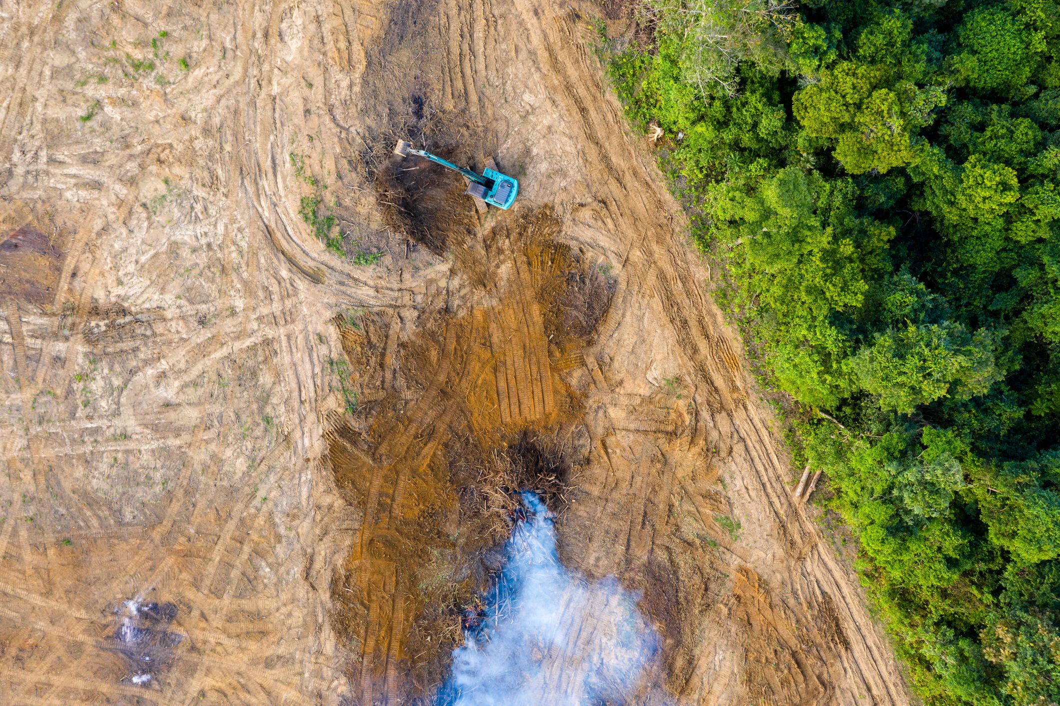 Els grans embornals de carboni podrien perdre efectivitat si se supera l'escalfament d'1,5 ºC