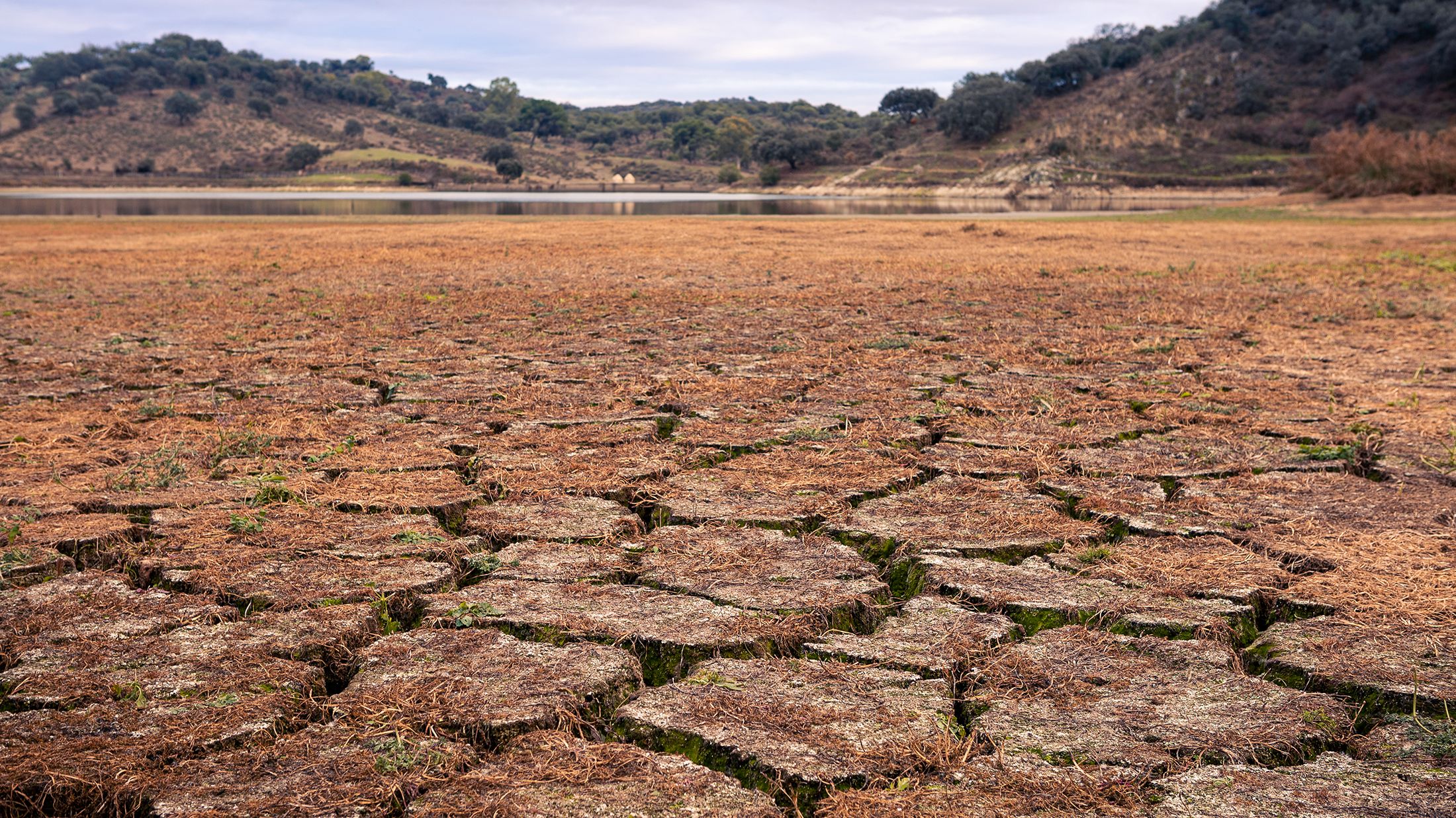 La crisi hídrica amenaça la meitat de la producció d'aliments