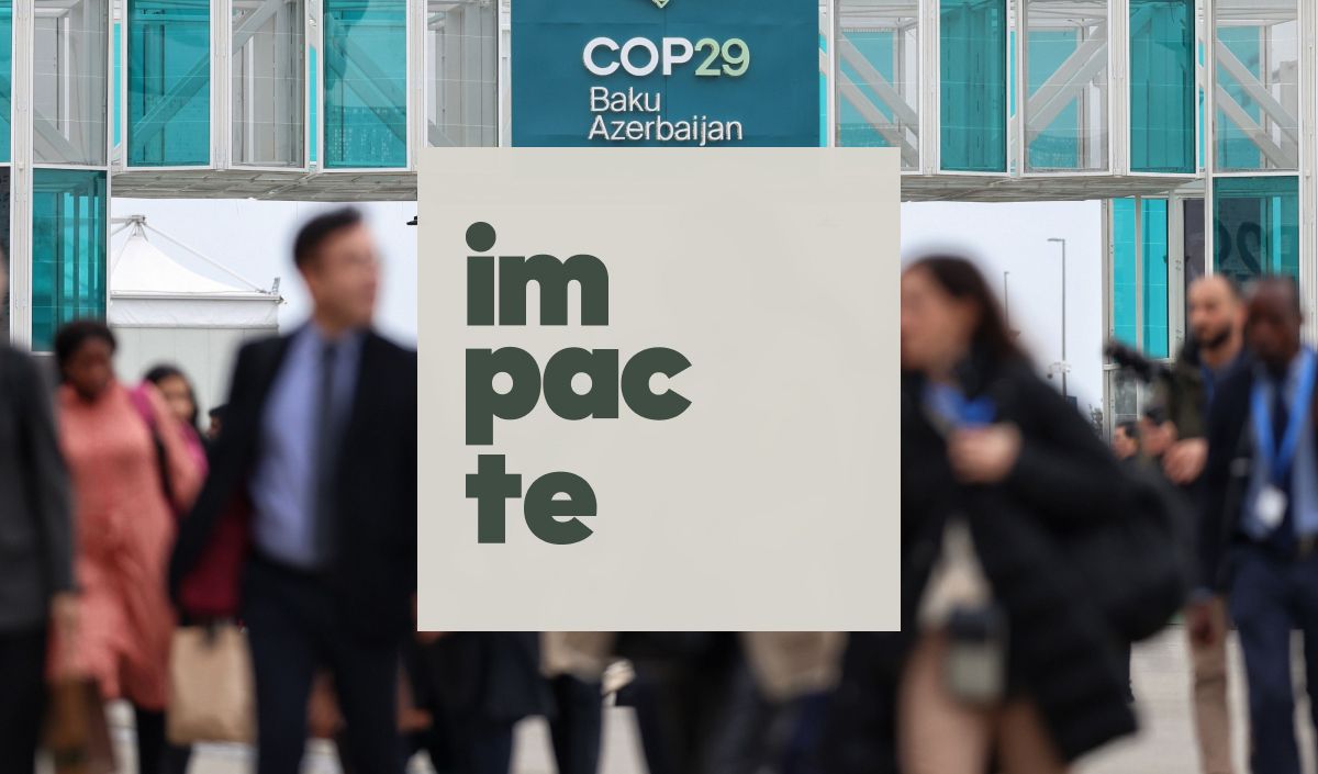 La COP29 s'ha celebrat a Bakú