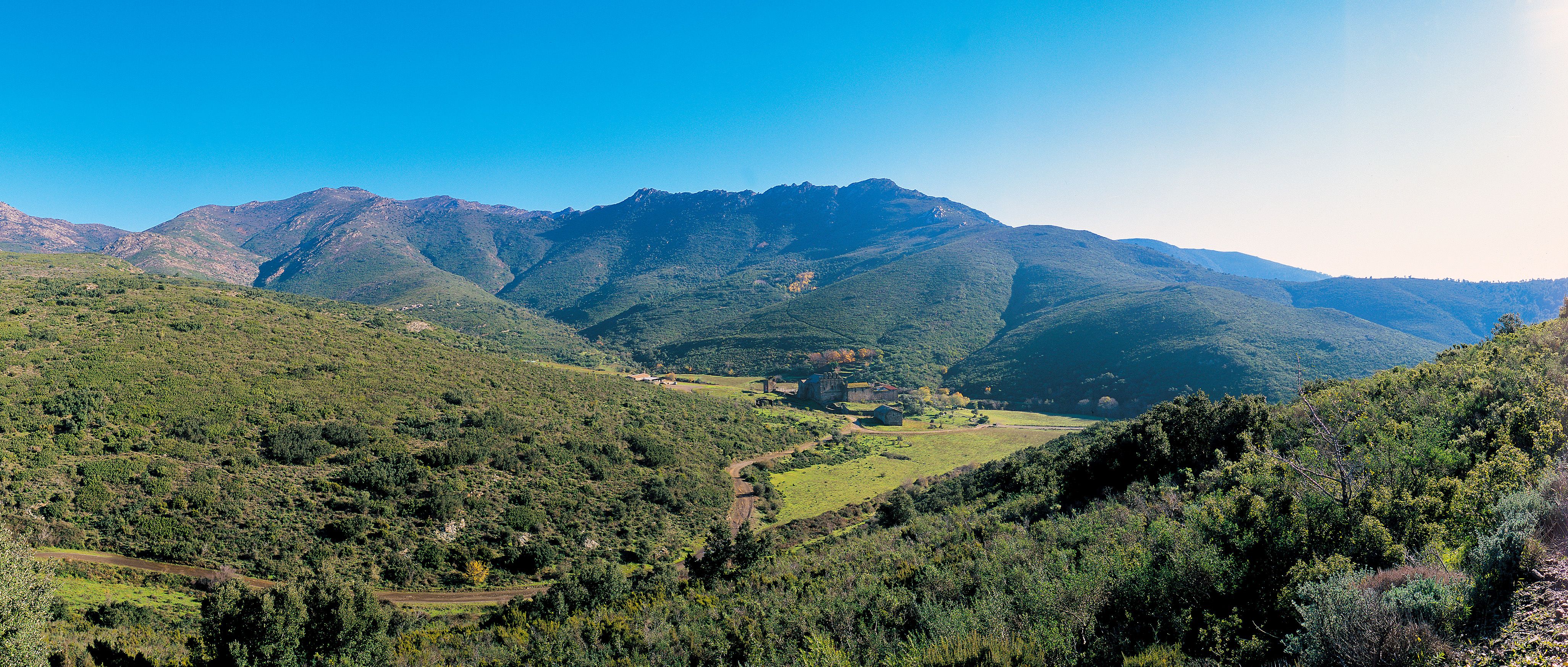 L'Albera serà un dels cinc nous parcs naturals de Catalunya