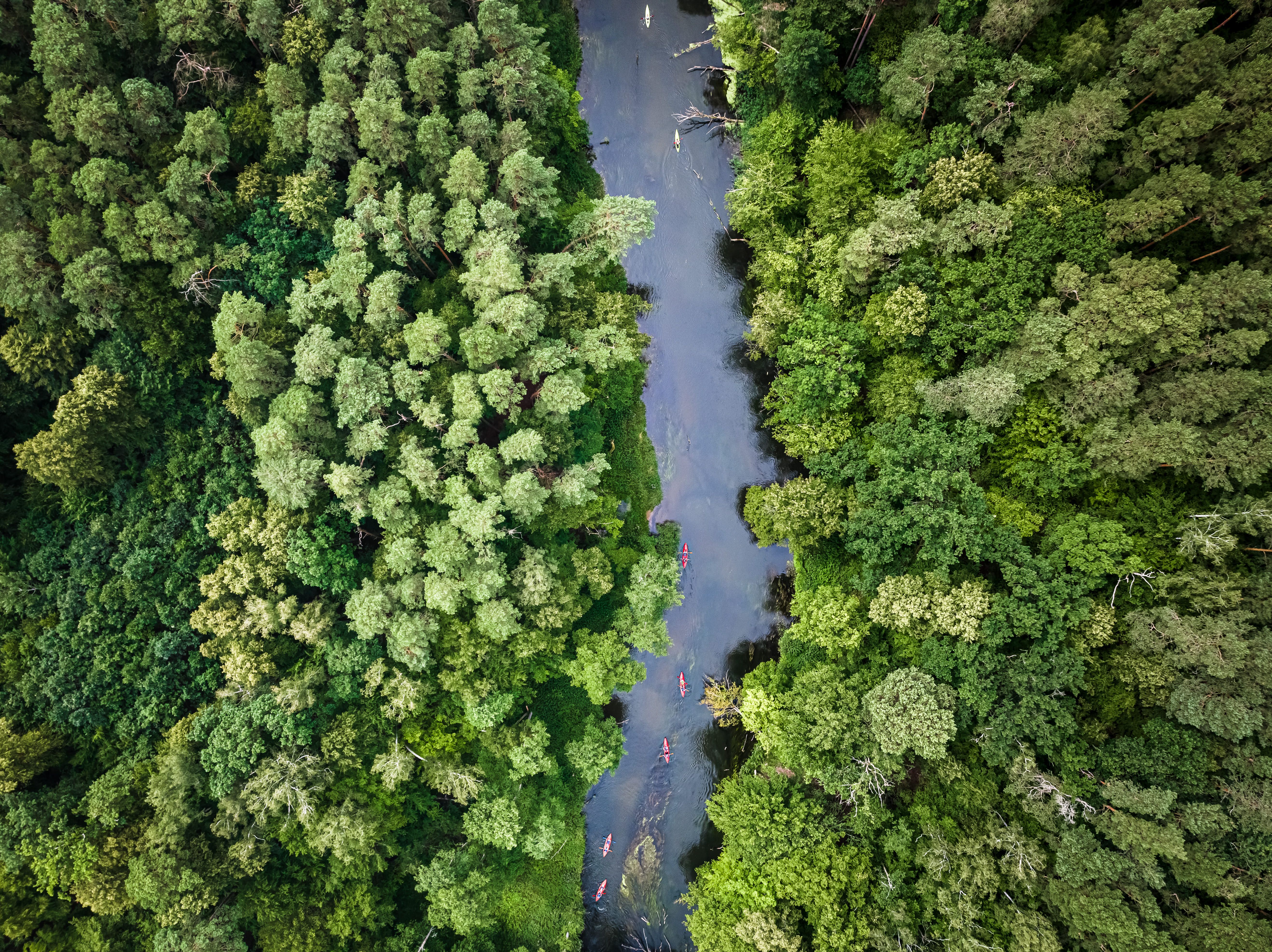 Primer acord global per finançar la conservació de la biodiversitat