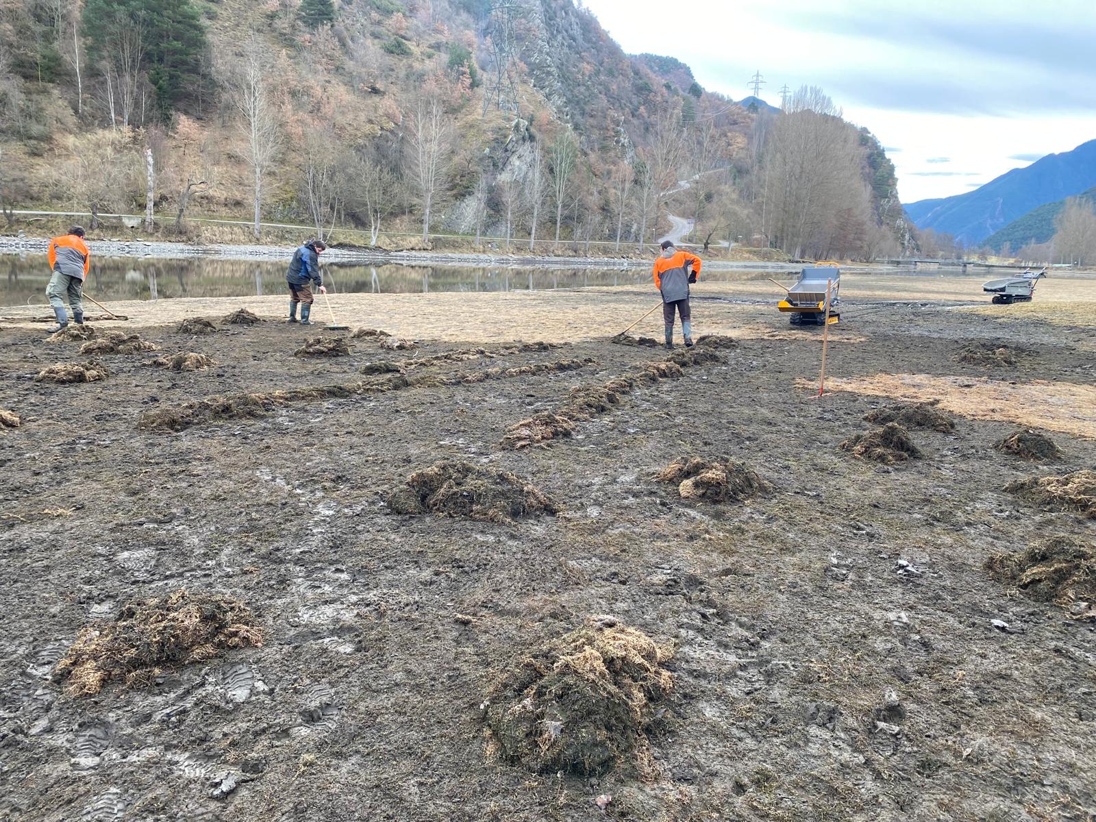 El parc natural de l'Alt Pirineu fa més de 15 anys de lluita contra una espècie invasora