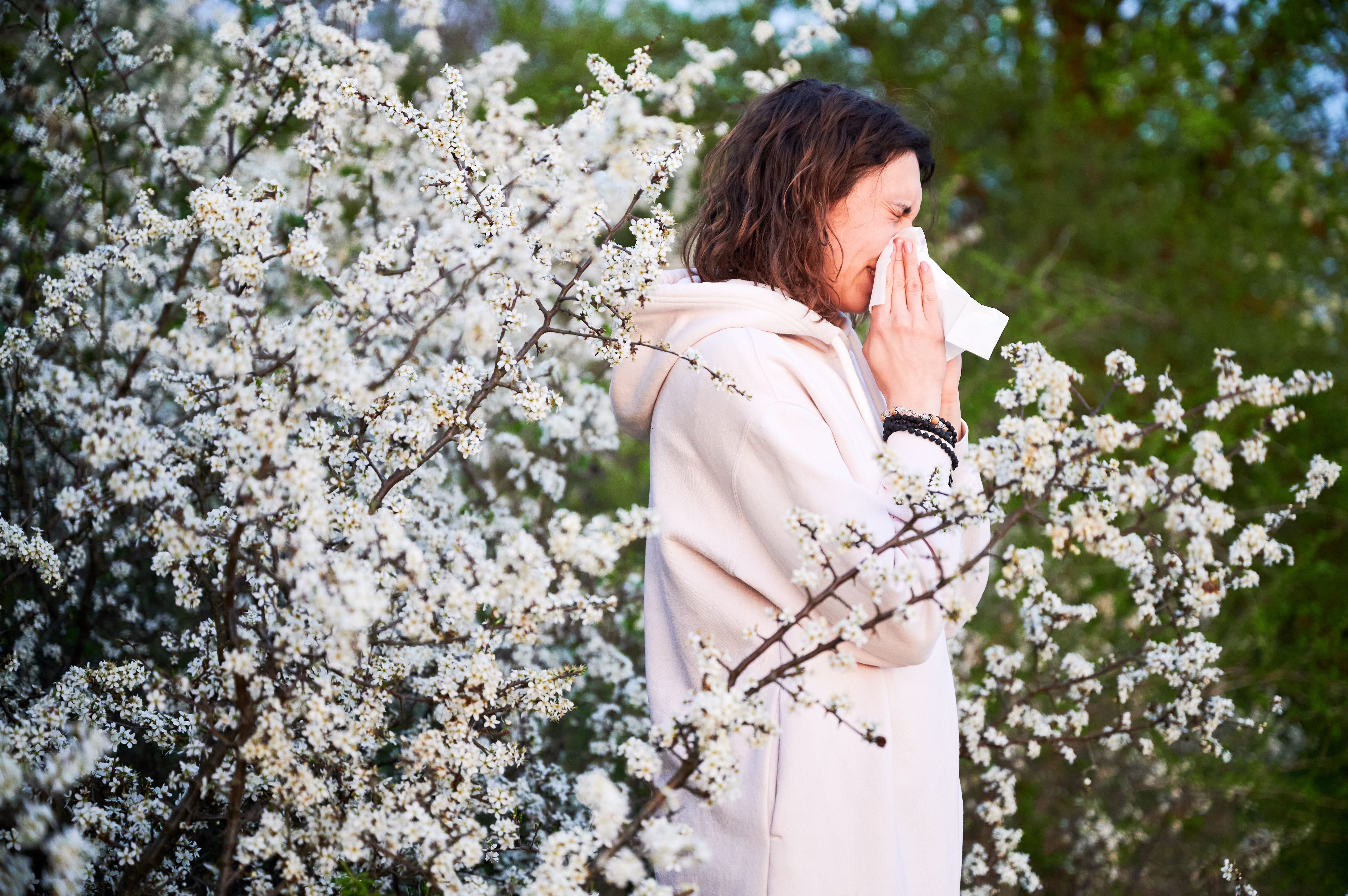 Al·lèrgia al pol·len: consells per superar una primavera complicada