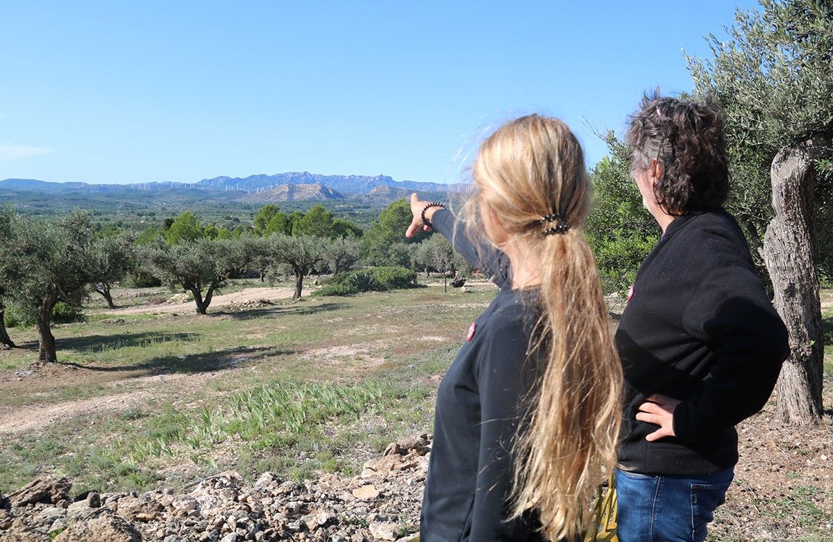 El president de l'associació Cova de la Masa, David Rosselló, i la seva dona, qui assenyala la zona on es projecta el parc eòlic l'Ametlló.