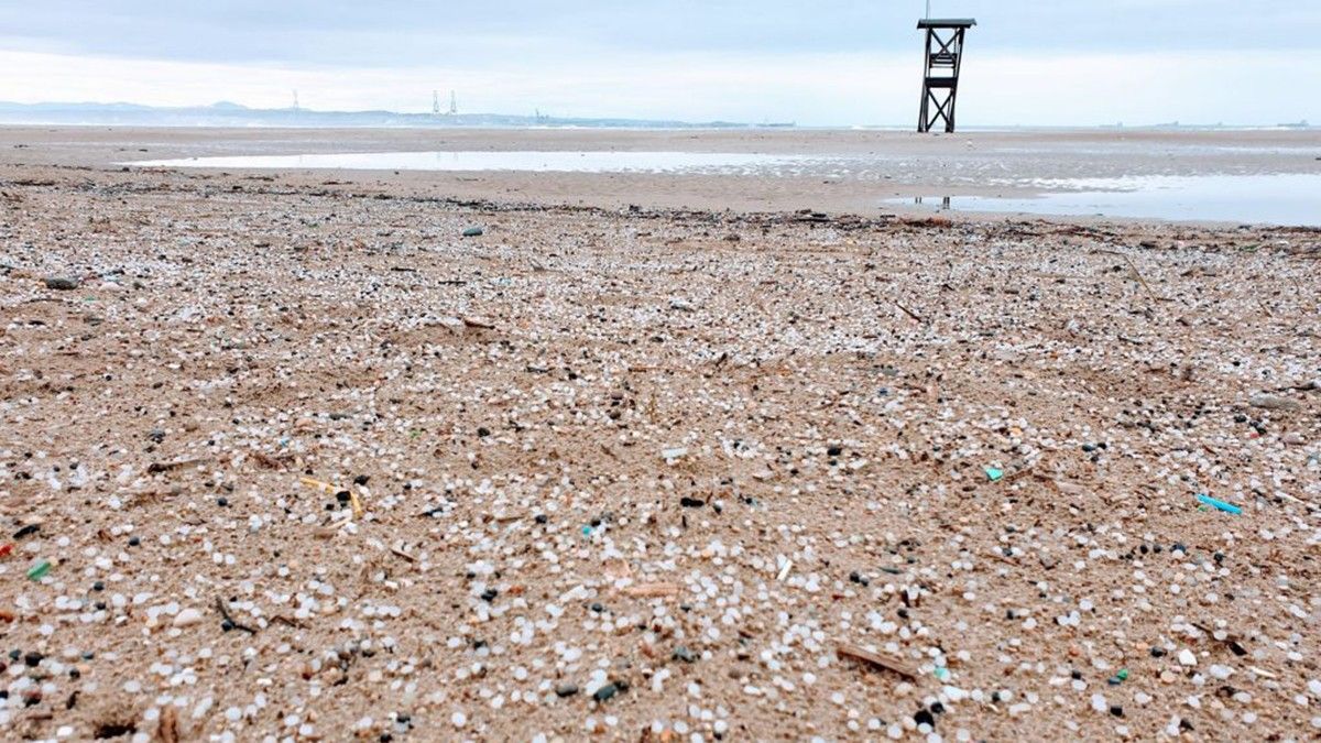 Contaminació per microplàstics a la platja de la Pineda
