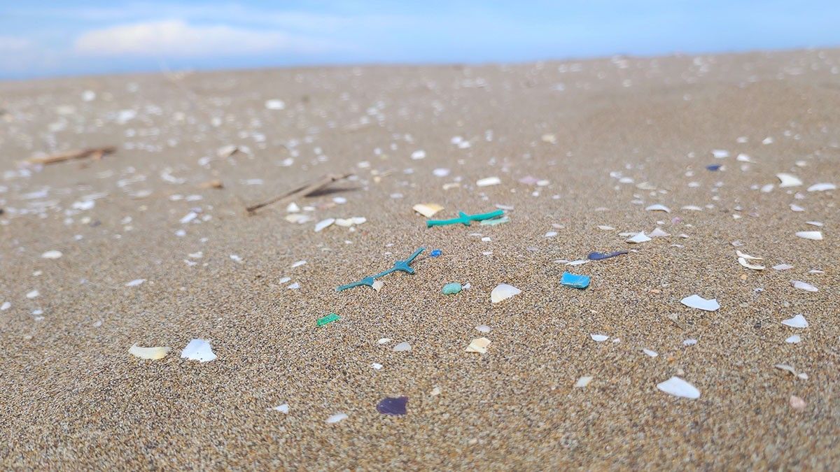 Presència de microplastics en una platja del delta de l'Ebre