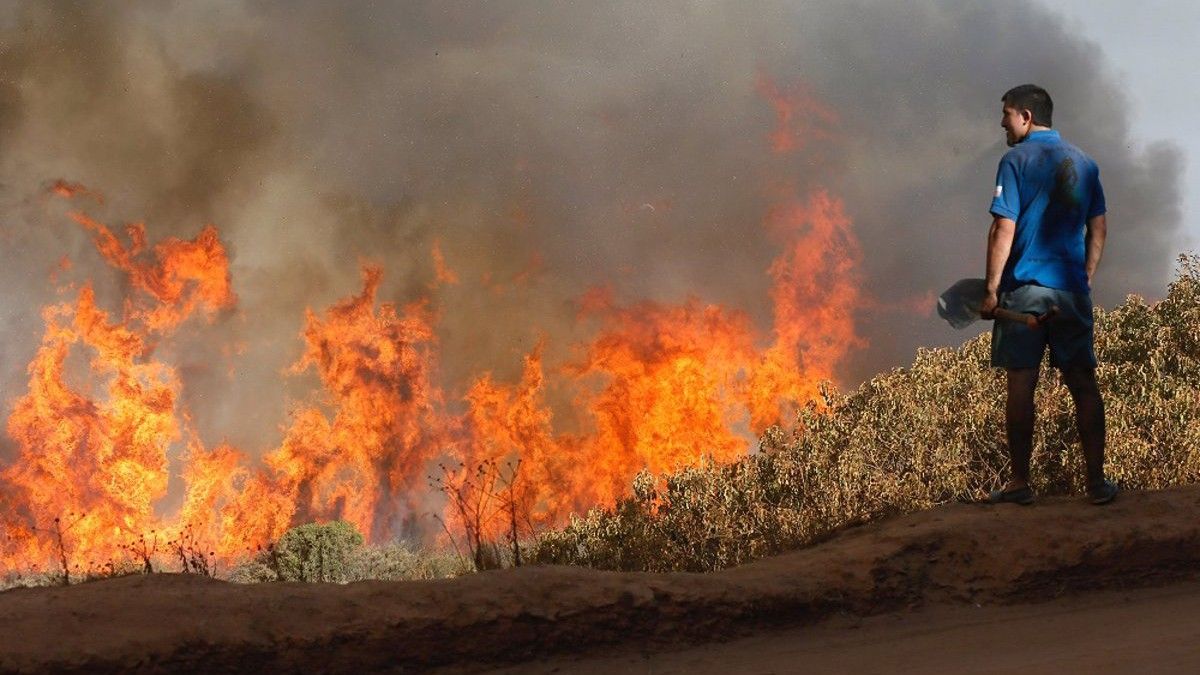 Incendis com els de Xile d'aquest hivern són un problema comú de les regions mediterrànies