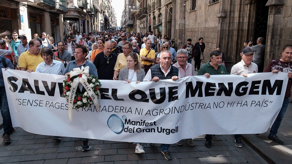 Els pagesos a la rodalia de la plaça Sant Jaume