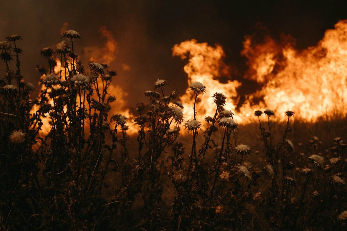 Incendi al Pont de Vilomara l'estiu del 2022