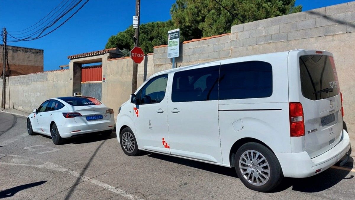 Els taxis que donen servei de transport públic a Les Martines